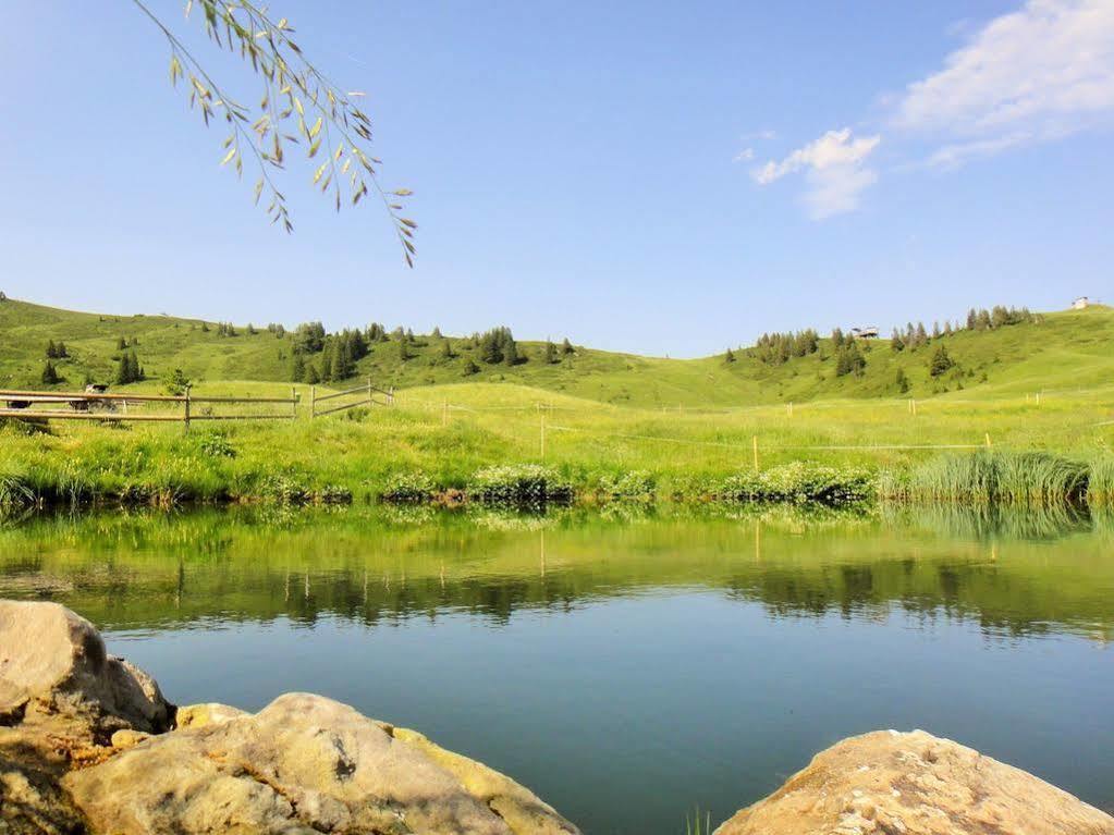 Garni Alpina Hotel